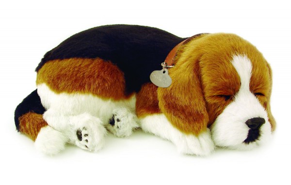 beagle-tag-full
